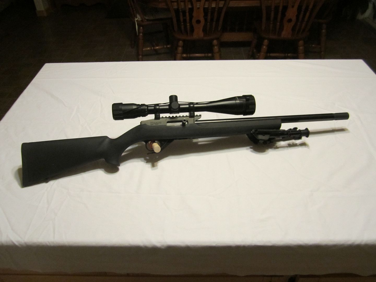 Ruger1022DAR11_zps32e7cc73.jpg