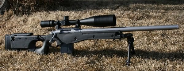 Mikes308.jpg