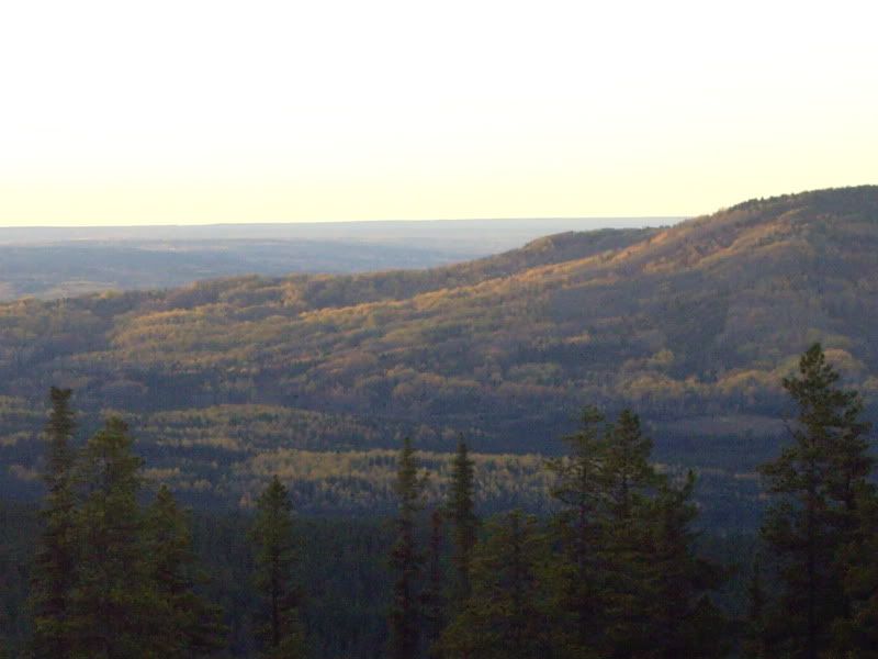 042-7.jpg