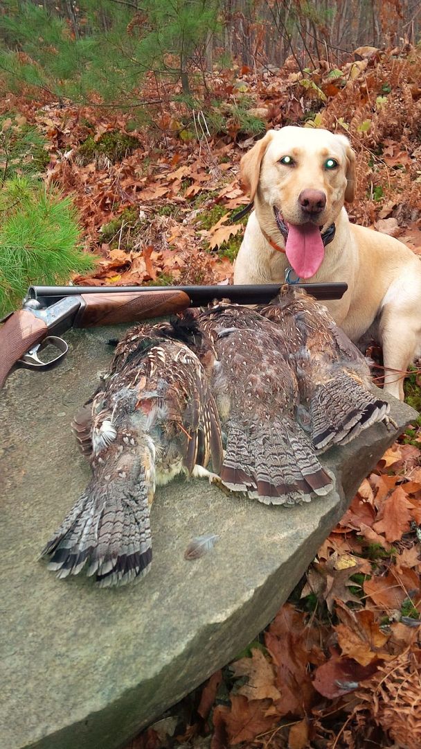 2015%2010%2024%20Grouse%201_zpsq7h4zzin.jpg