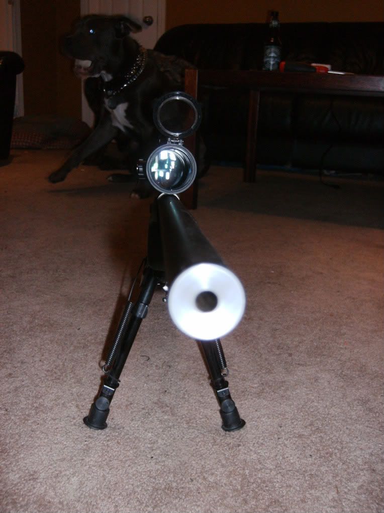 ImportedPhotos00153.jpg