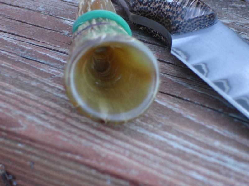 DSC03073.jpg