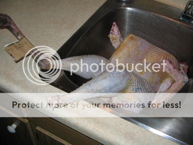 IMG_0593.jpg