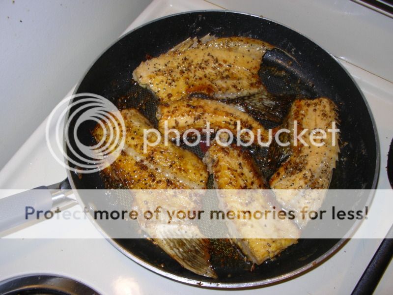 IMGP3570.jpg