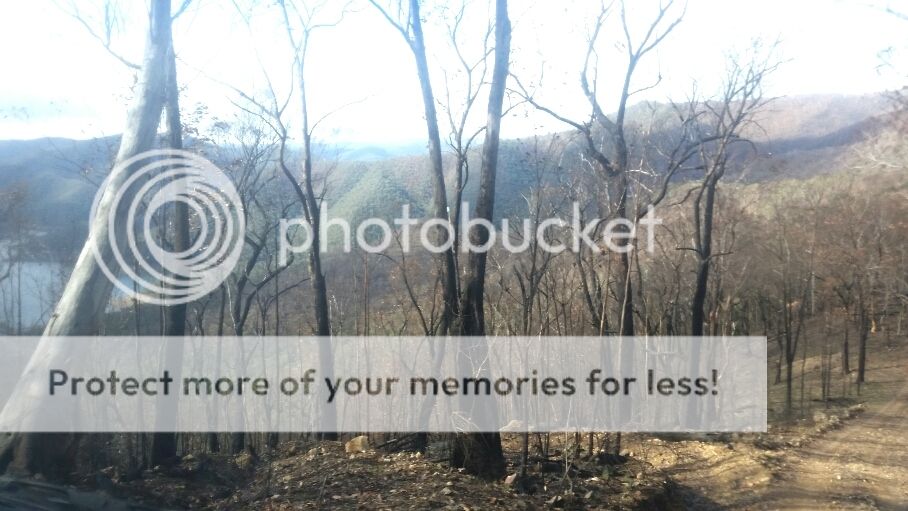 2015-07-26%2016.45.46.jpg~original