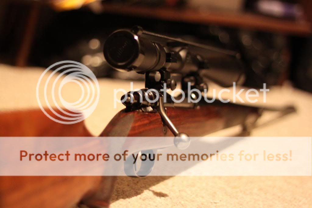 IMG_3862_zps4d6c3ed1.jpg