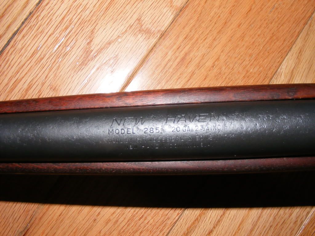 DSCF6227.jpg