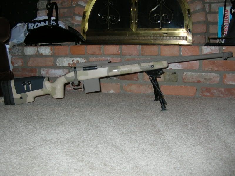 coyote002.jpg