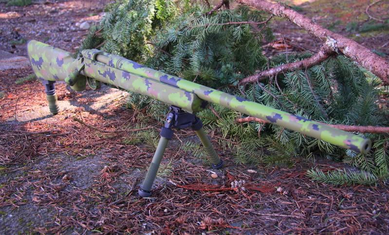 rifleandswallow005.jpg