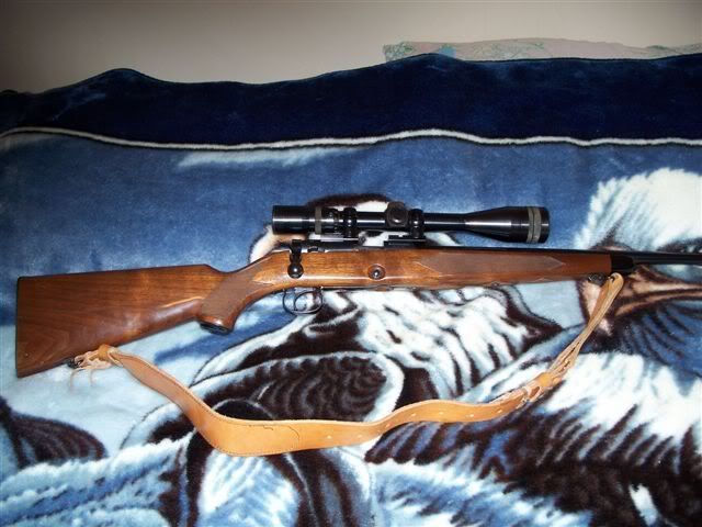 Picture008.jpg