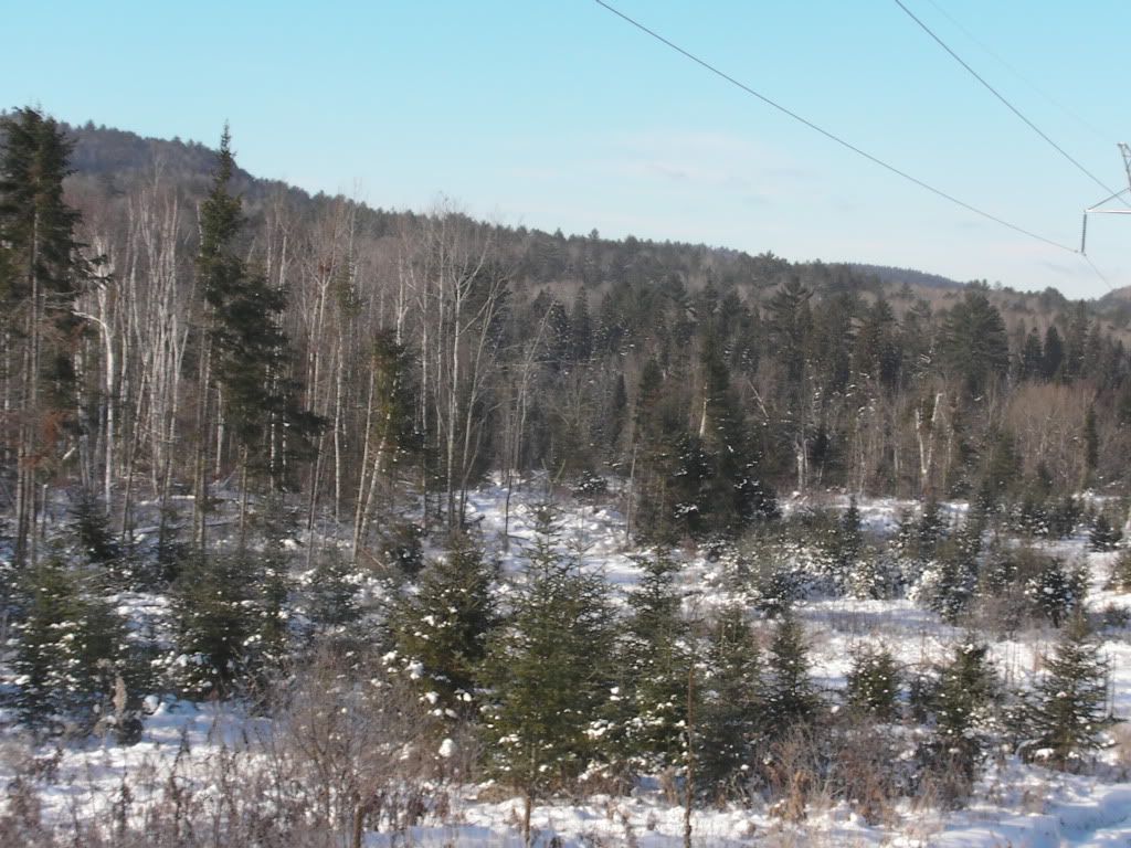 SANY0289.jpg