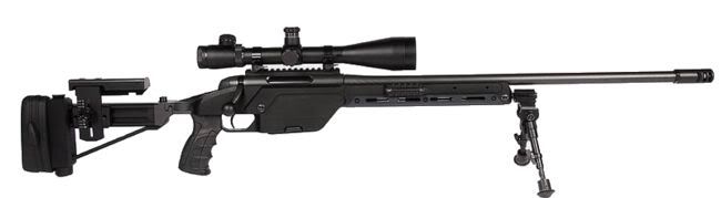 steyr_ssg08.jpg