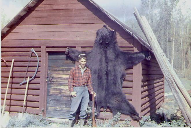 bear.jpg