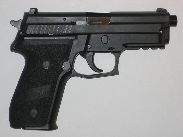 SIG6-2.jpg