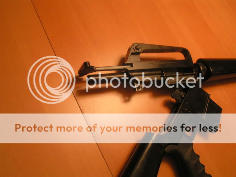 PICT0365.jpg