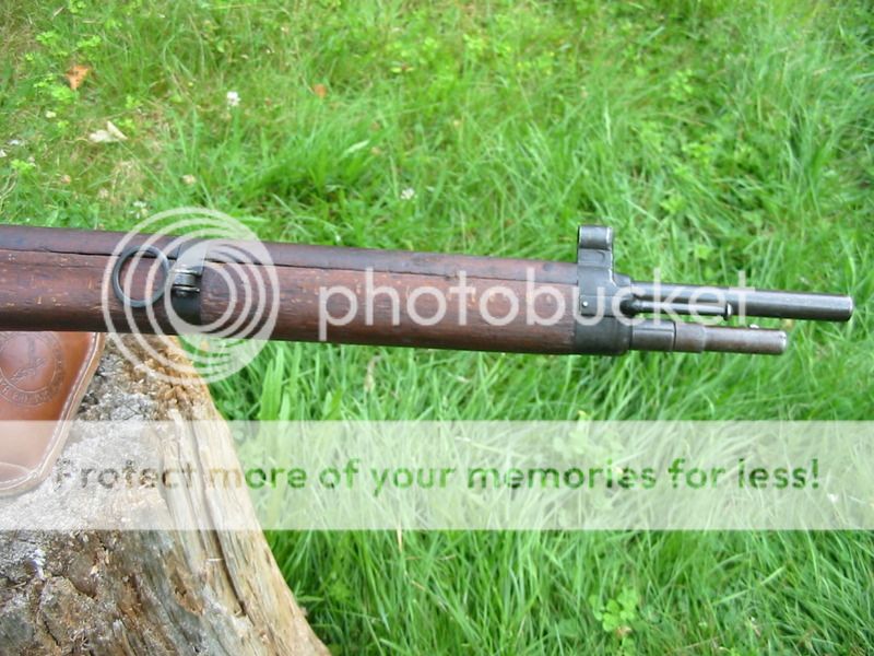 IMG_5566_zpsyh802glt.jpg