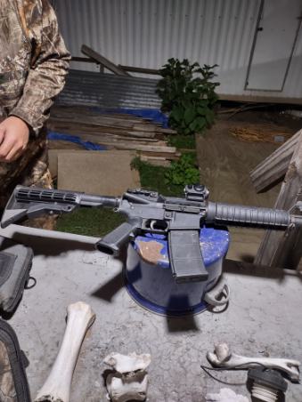 SDpVq5V.jpg