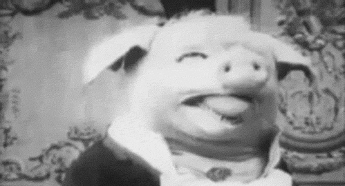 tumblr_lxx6vfCV5k1qg39ewo1_500.gif