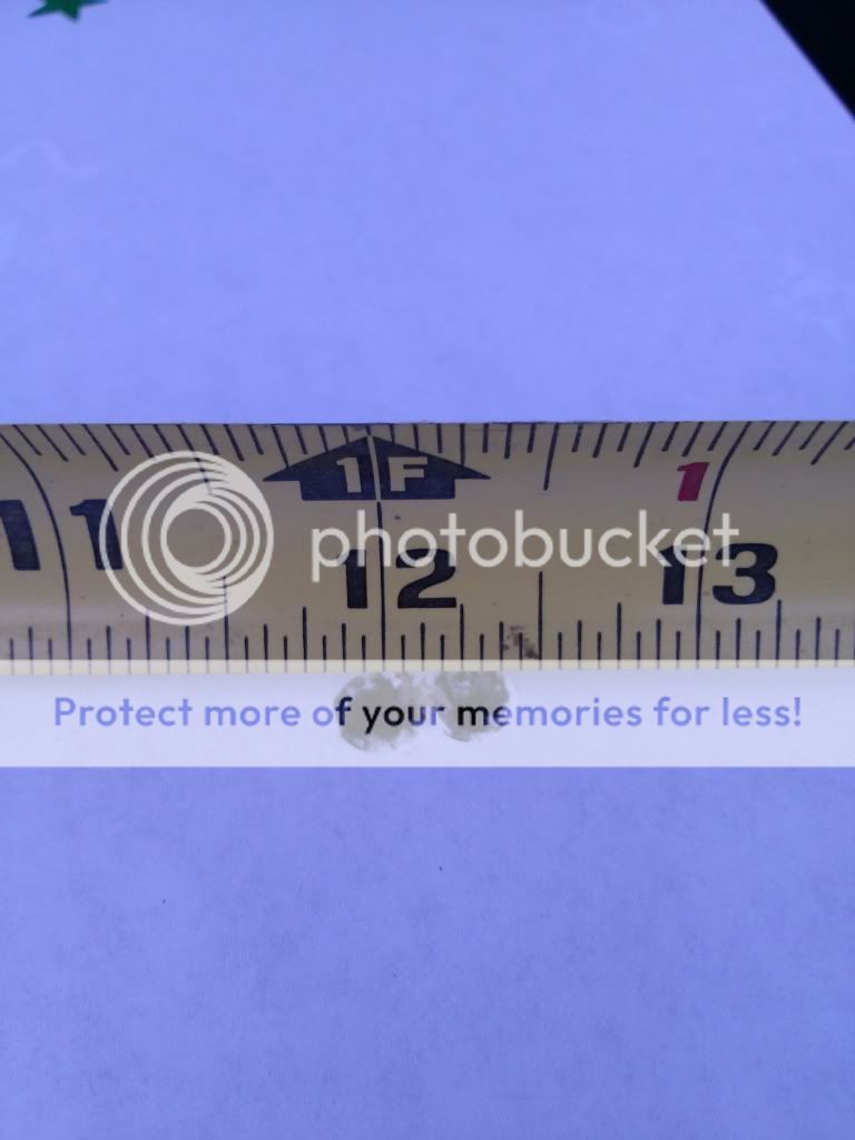 0312131933_zps8f0a2661.jpg