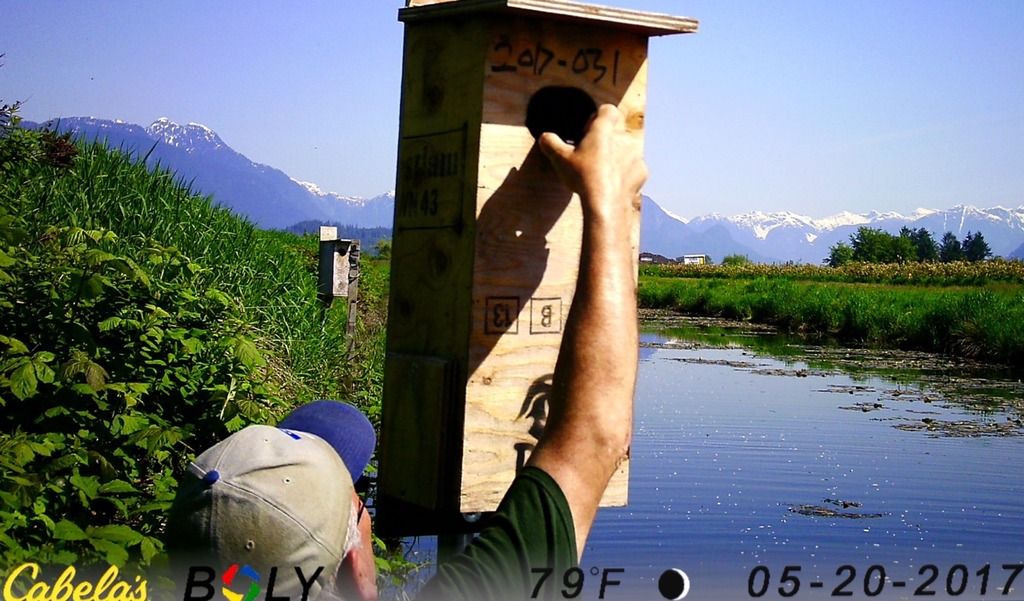 image_zpslbwgwxix.jpeg~original