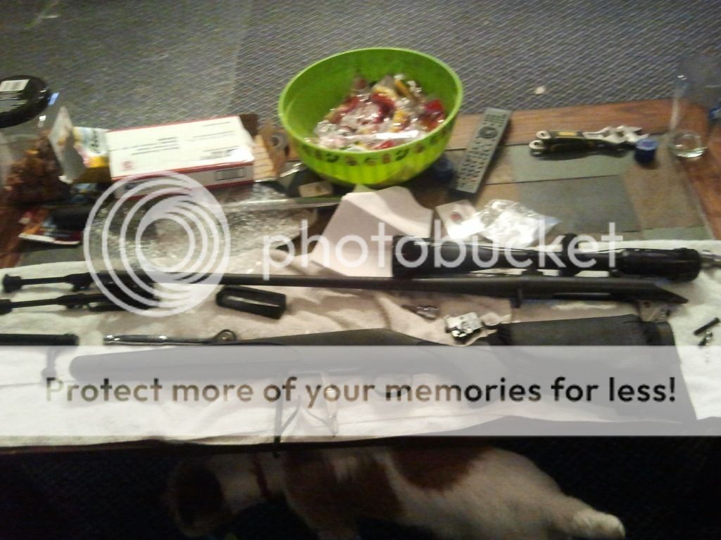 2011-11-10185644.jpg