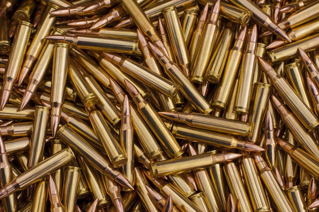 ammo31-1024x682.jpg