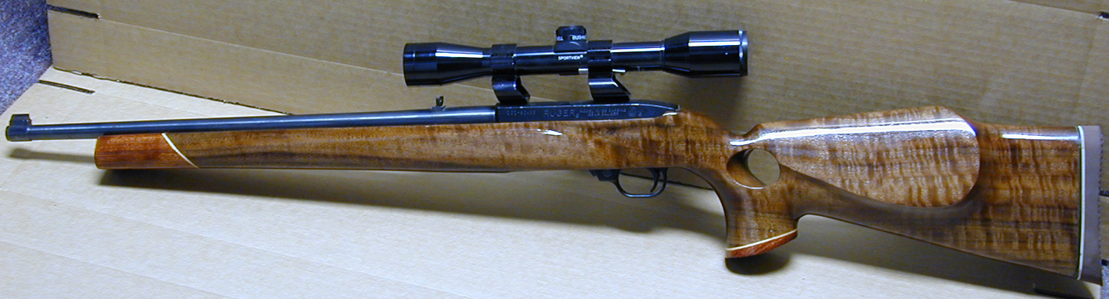 BradCDGWal1022.JPG