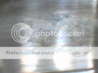 IMG_0896_zpsu8arnv7e.jpg