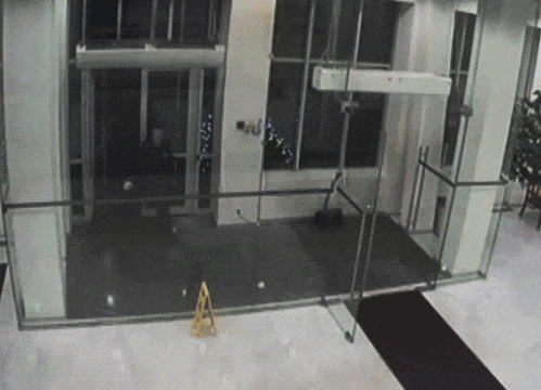 tumblr_lummqv2SjM1qg39ewo1_500.gif