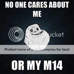 m14.jpg