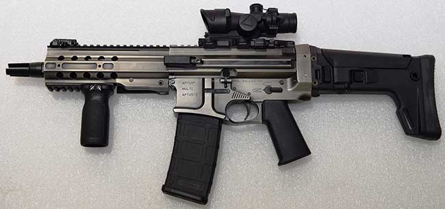 Aptus-5.56.jpg
