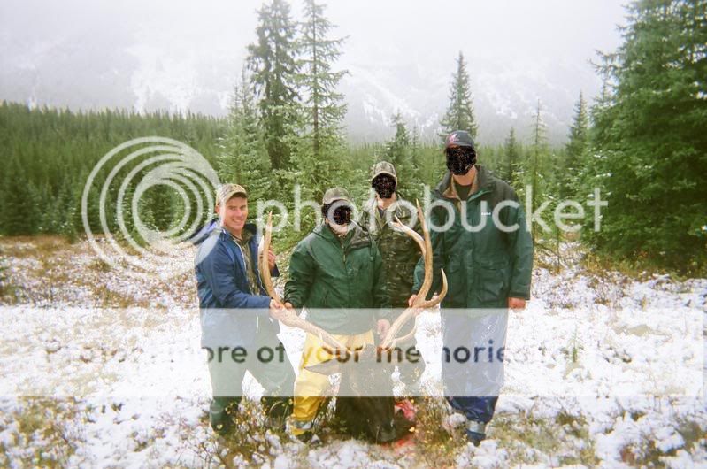 groupelk2.jpg