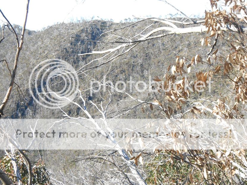 DSCN0775glassingface.jpg~original