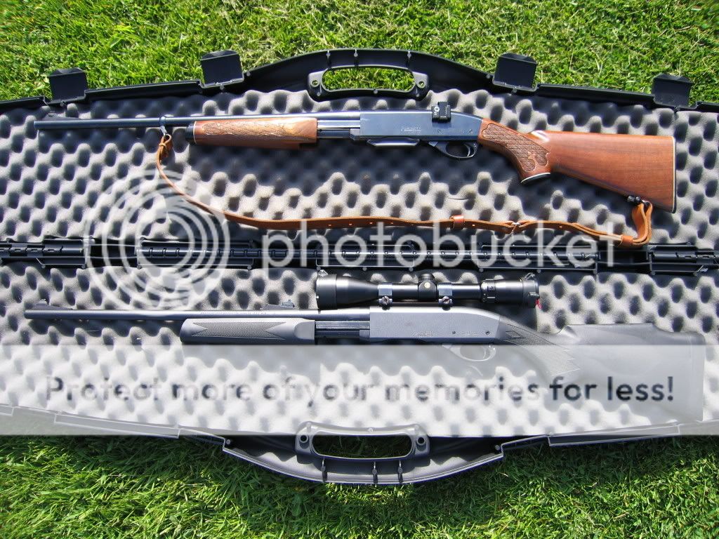 Guns001.jpg