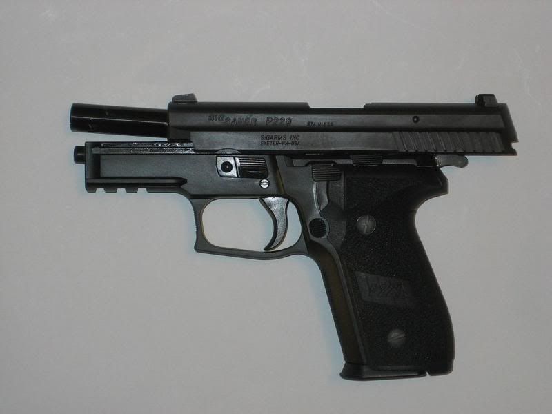 SIG8.jpg