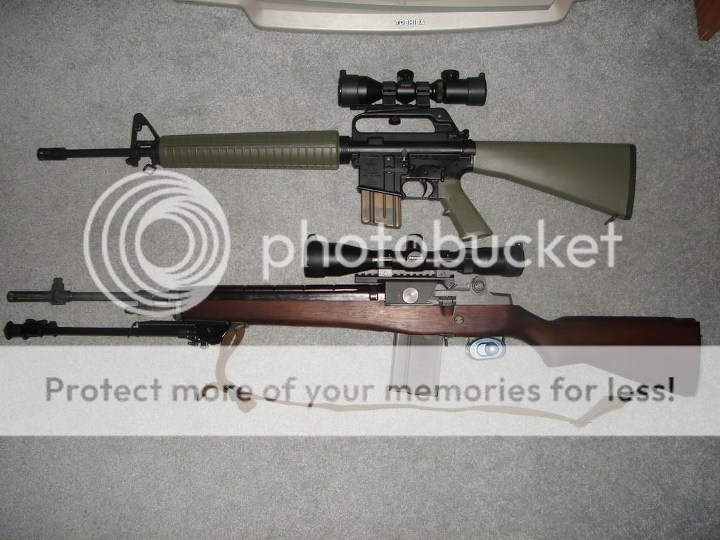 collectionupdated004.jpg