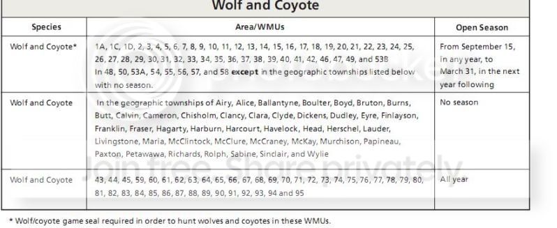Coyoteregs.jpg