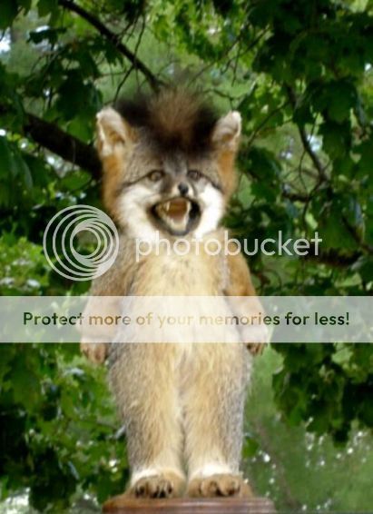 Examplesofawfultaxidermy_21.jpg