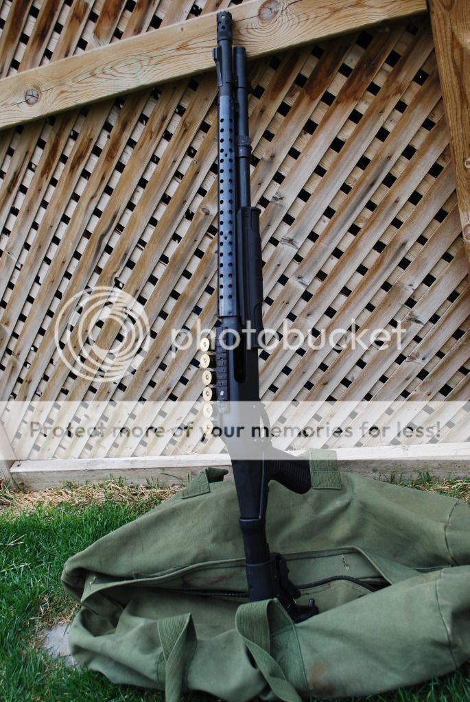 shotty005.jpg
