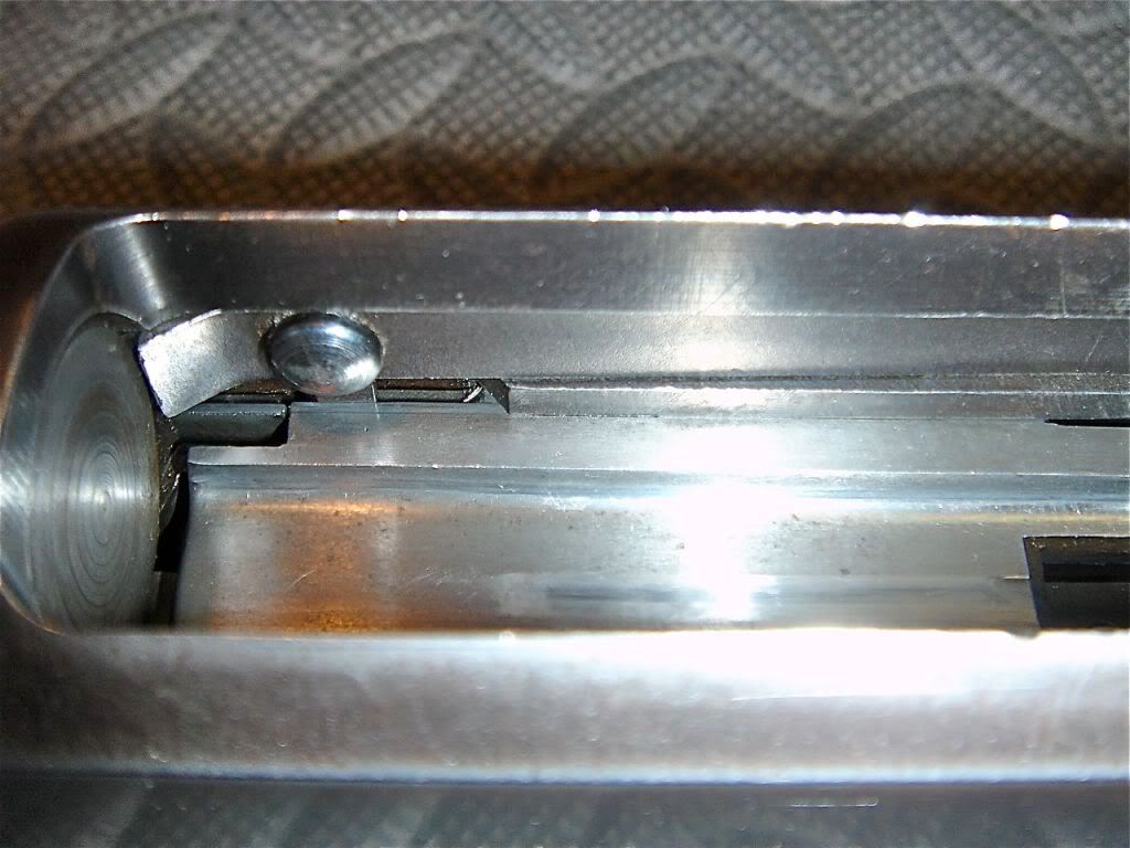 DSC08105.jpg