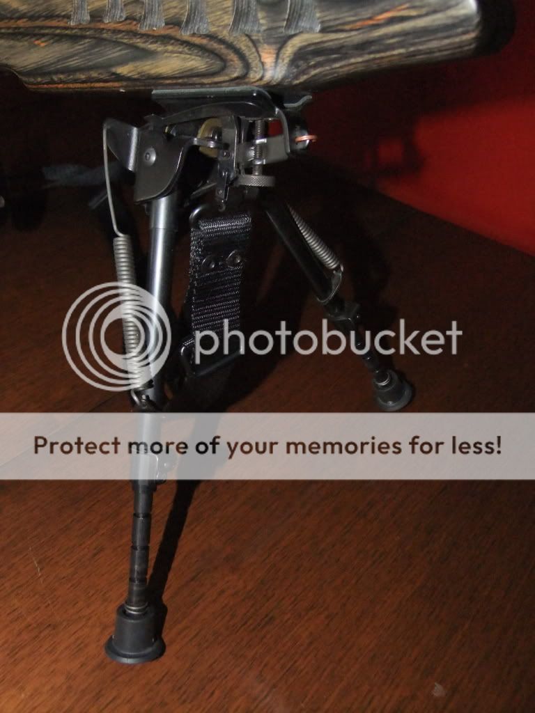 bipod1.jpg