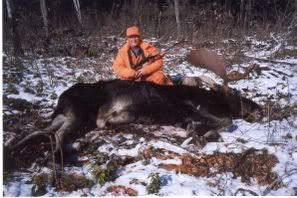 bull2004.jpg