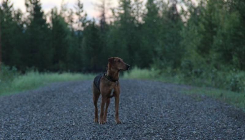 Rubyonthewayback_zpsd2614574.jpg