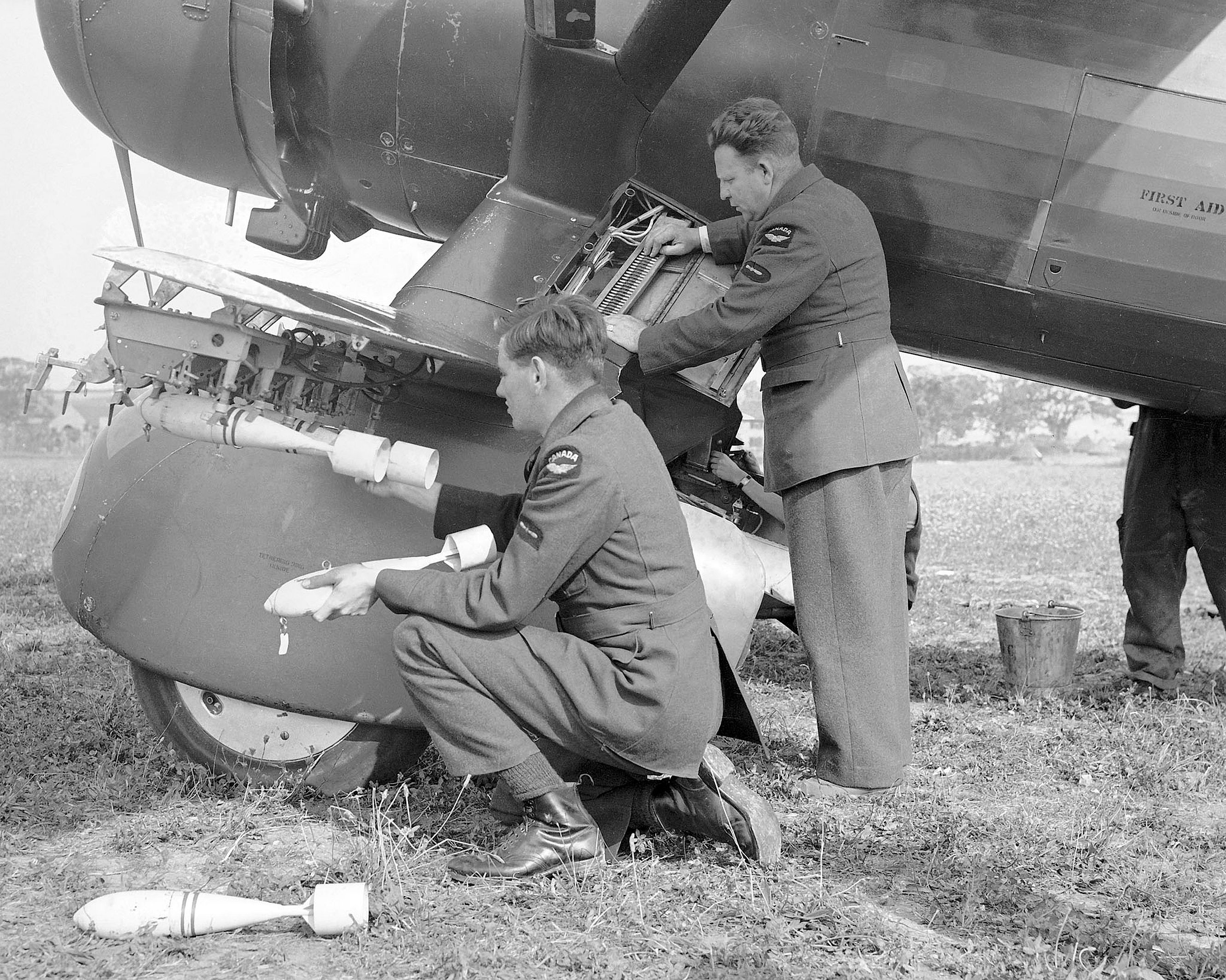 1485426661_Lysander.jpg