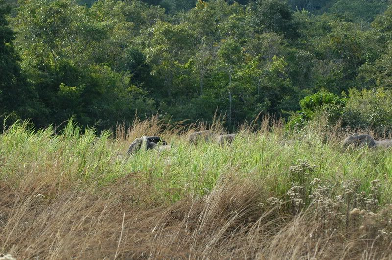 Tanzania54.jpg