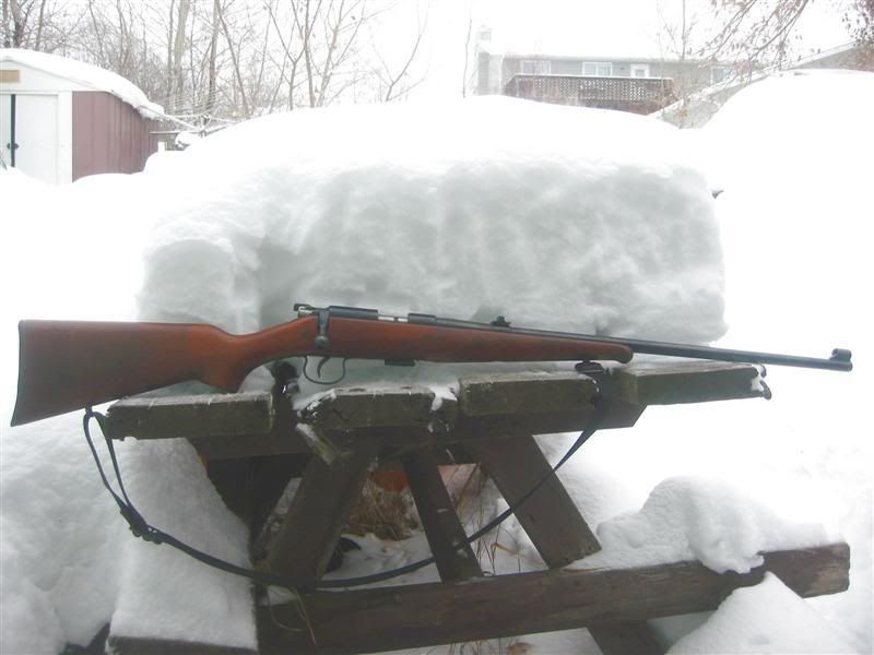 Model1.jpg