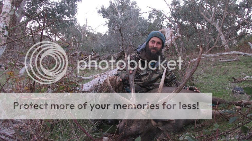 IMG_5668browdah.jpg~original