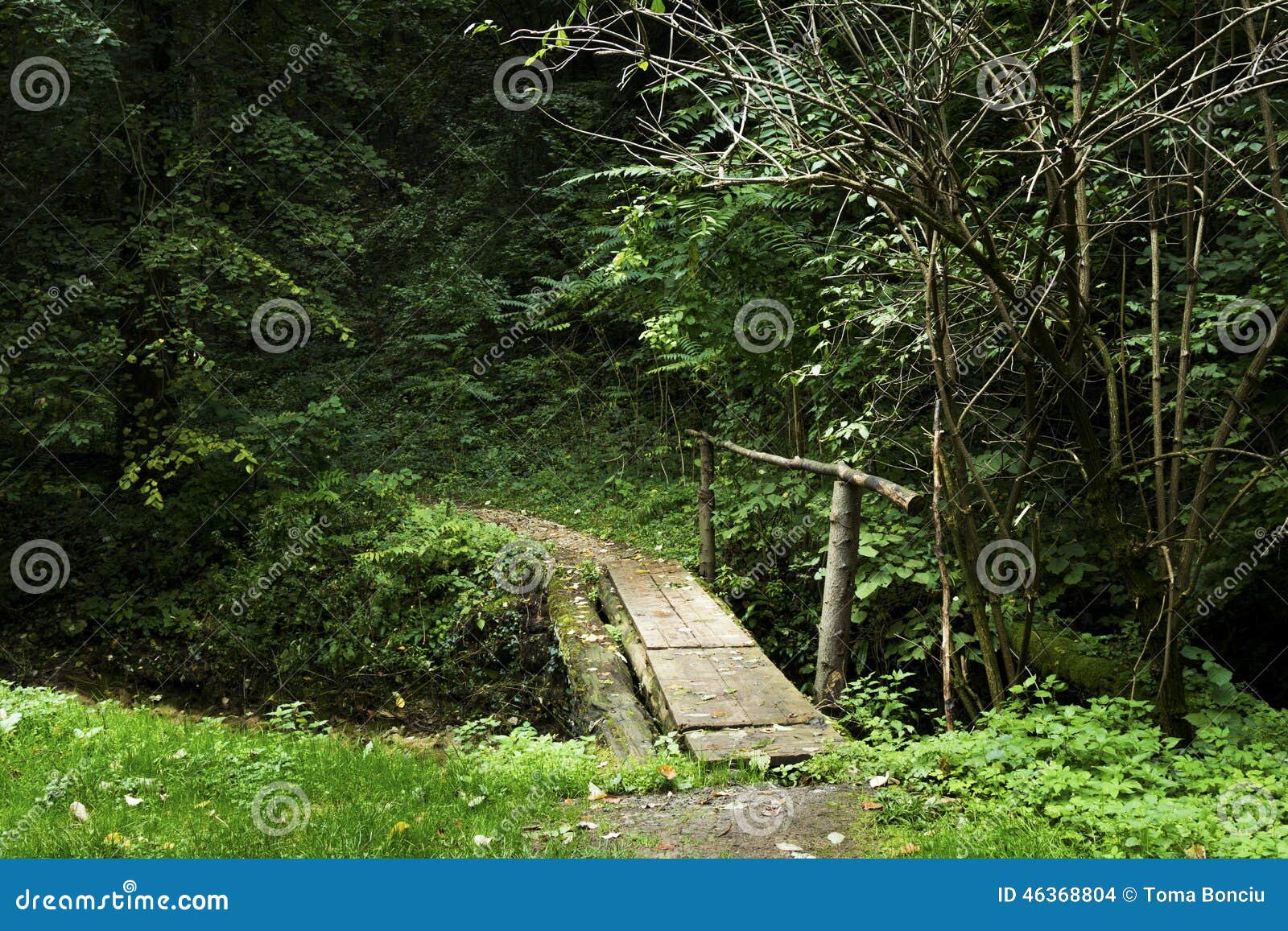 small-bridge-over-creek-forest-green-46368804.jpg