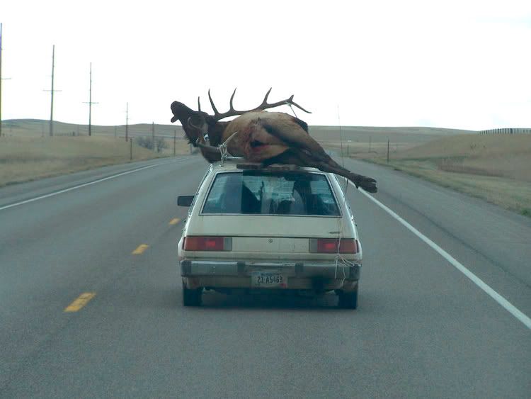 redneckhunter.jpg