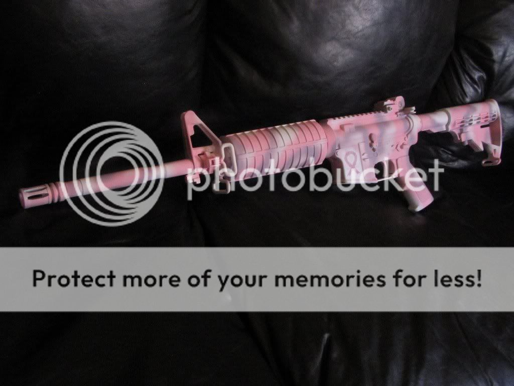 breastcancergun004ws2.jpg